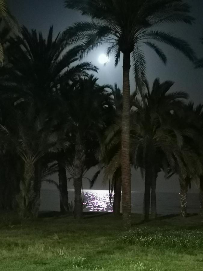 Lido Beachfront 토레몰리노스 외부 사진